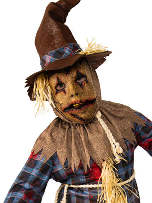 Wizard of Oz Scarecrow Book Week Licensed Costume Child Boy S:M (5-7) - Image 4