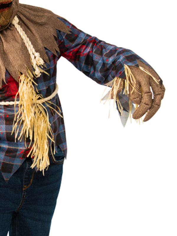 Wizard of Oz Scarecrow Book Week Licensed Costume Child Boy S:M (5-7) - Image 3