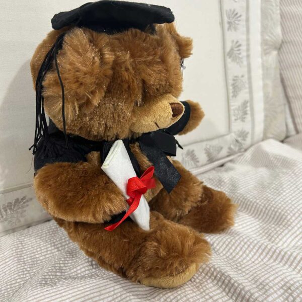 Graduation Bear Plush Toy Gift Doctorate with Hat Student Gift 9" - Image 5