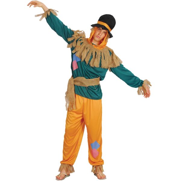 Scarecrow Book Week Costume Mens / Adults Small-Medium