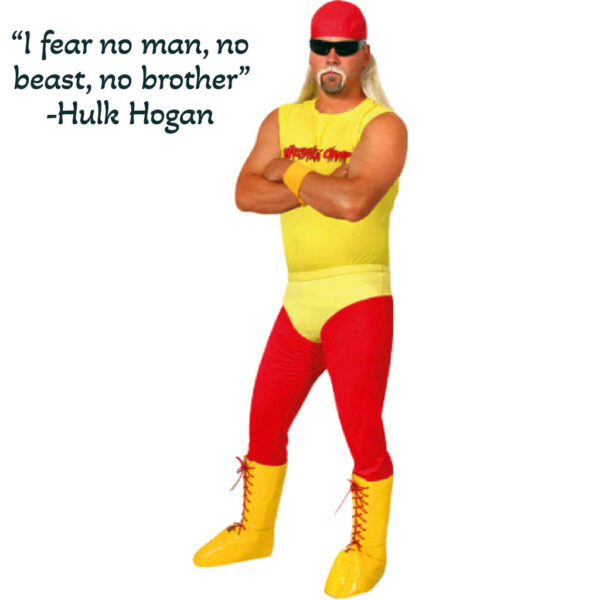 Hogan Wrestler Hulk Wrestling Mens Iconic Costume (Std) - Image 2