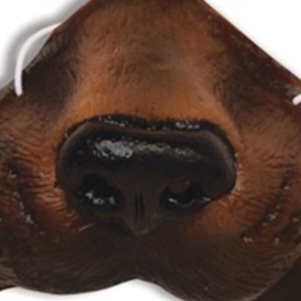 Dog Nose - Costume Accessory - Brown - Image 3