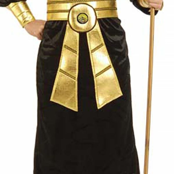 Egyptian King of the Nile Pharaoh Mens Adult Costume - Size(s): Std, L, XL - Image 3