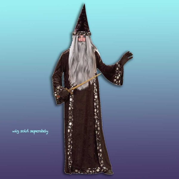 Wizard / Sorcerer Costume Robe & Hat - Adult - M/L/XL - Image 3