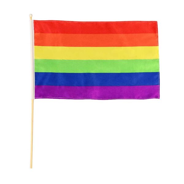 Pride Rainbow Flag - ONE SIZE 18" x 6"