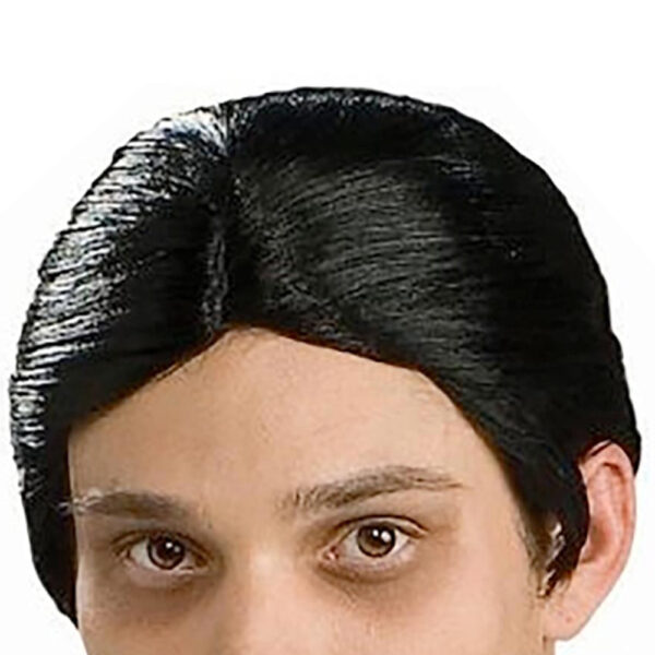 The Addams Family Gomez Wig & Moustache Costume Accessory - Image 2