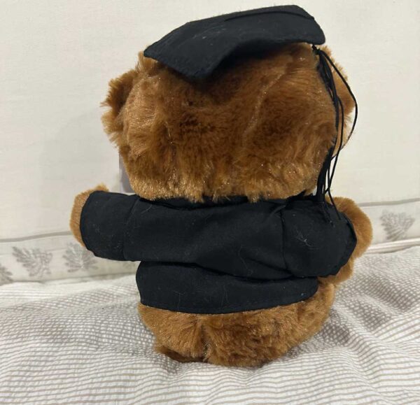 Graduation Bear Plush Toy Gift Doctorate with Hat Student Gift 9" - Image 6