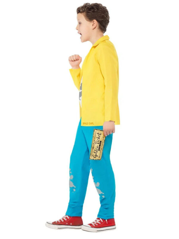 Child Roald Dahl Charlie Bucket Boys Costume S: S-M-L - Image 4