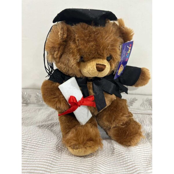 Graduation Bear Plush Toy Gift Doctorate with Hat Student Gift 9"