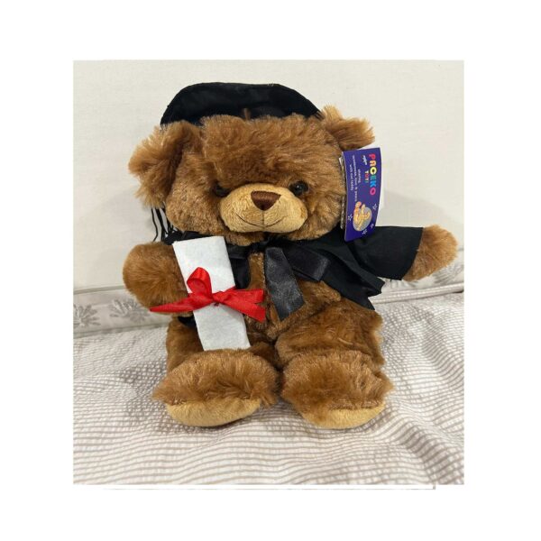 Graduation Bear Plush Toy Gift Doctorate with Hat Student Gift 9" - Image 3