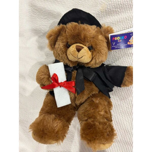 Graduation Bear Plush Toy Gift Doctorate with Hat Student Gift 9" - Image 4