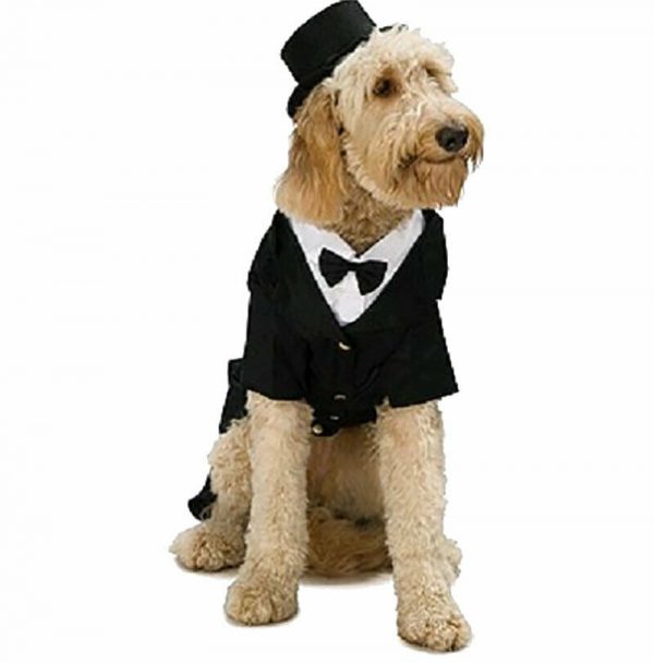 DAPPER DOG PET GROOM WEDDING SUIT TUXEDO FANCY DRESS COSTUME ANIMAL FORMALS - Image 4