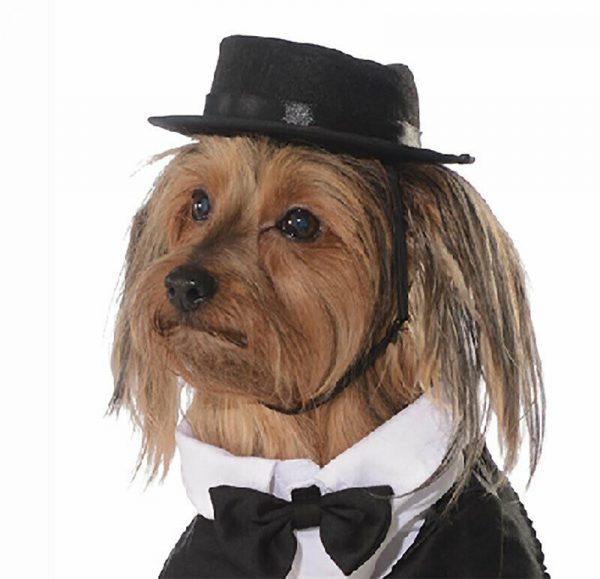 DAPPER DOG PET GROOM WEDDING SUIT TUXEDO FANCY DRESS COSTUME ANIMAL FORMALS - Image 5