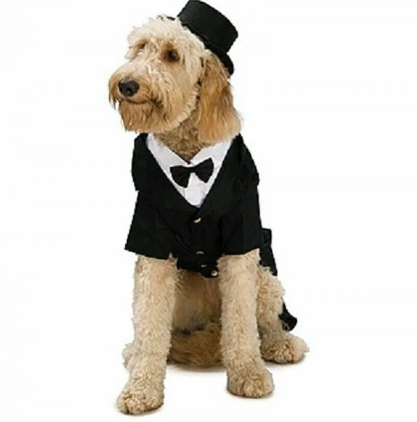 DAPPER DOG PET GROOM WEDDING SUIT TUXEDO FANCY DRESS COSTUME ANIMAL FORMALS - Image 6