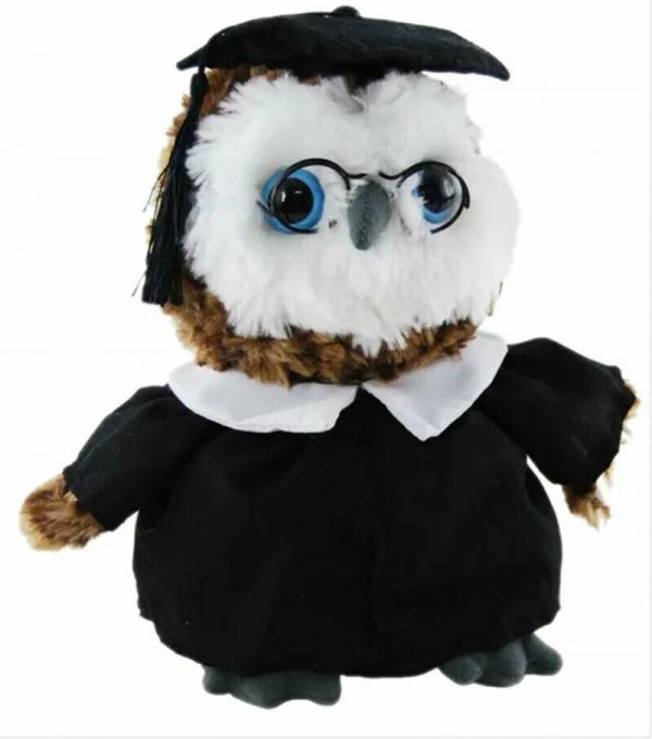 GRADUATION OWL PLUSH TOY HAT GLASSES GOWN STUDENT SCHOOL UNIVERSITY COLLEGE 23cm