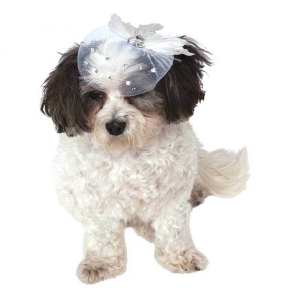 Rubies Pet Fancy Formal Hat Costume Animal Accessory Cat Dog Fascinator S-M-L - Image 3