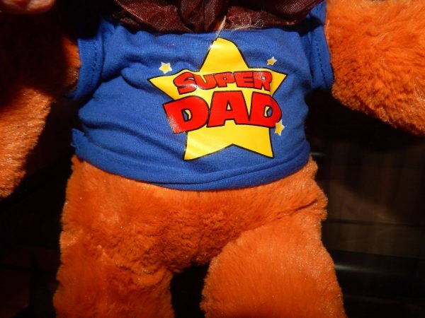 Ethan Teddy Bear w T-Shirt 'Super Dad' Fathers Day Gift Adult Plush Huggable Toy - Image 6