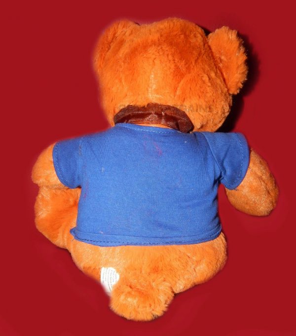 Ethan Teddy Bear w T-Shirt 'Super Dad' Fathers Day Gift Adult Plush Huggable Toy - Image 7