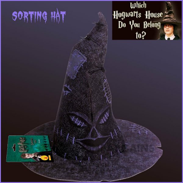 HARRY POTTER SORTING HAT CHILD BOOK WEEK HALLOWEEN COSTUME ACCESSORY LICENSED - Image 3