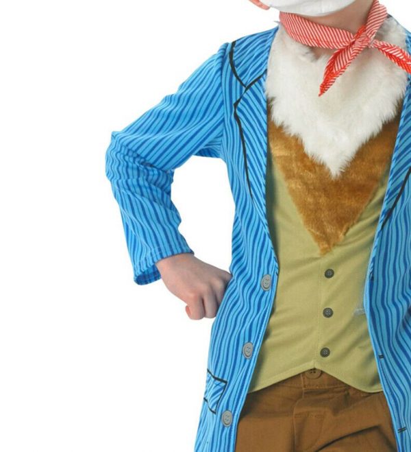 ROALD DAHL FANTASTIC MR. FOX DELUXE COSTUME CHILD BOY KID BOOK WEEK FANCY DRESS - Image 4