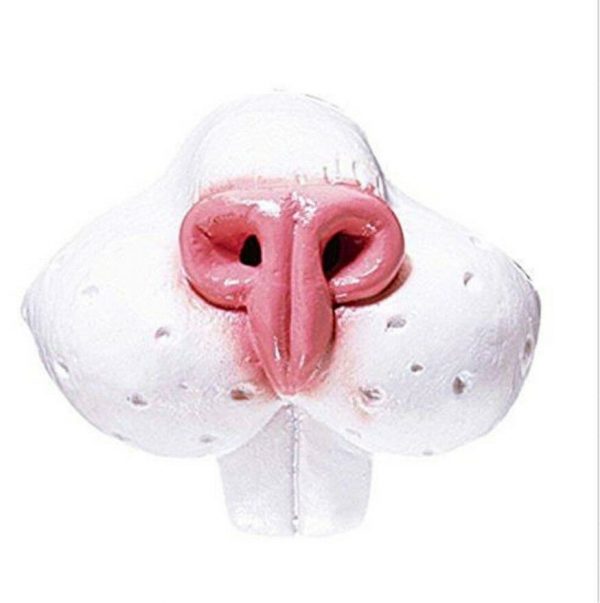 White Bunny Rabbit Nose on Elastic Costume Accessory Easter Party Animal Girls - Image 3