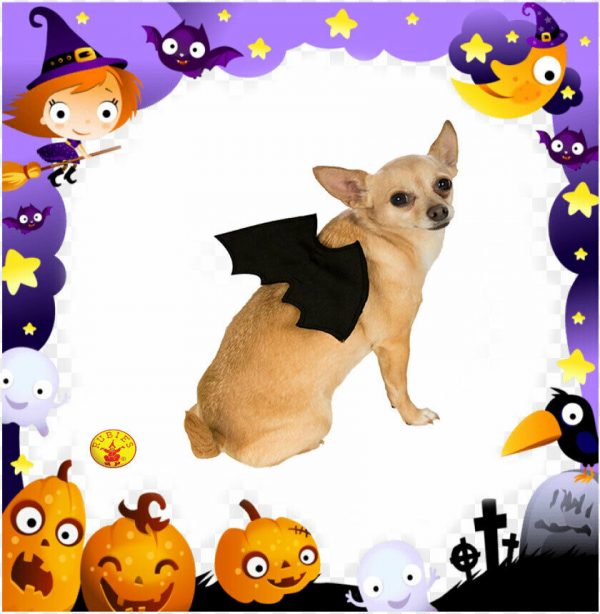 Animal Pet Dog Cat Black Bat Vampire Halloween Fancy Dress Costume Wings Rubies - Image 3