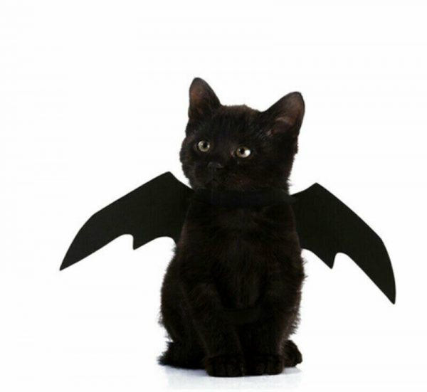 Animal Pet Dog Cat Black Bat Vampire Halloween Fancy Dress Costume Wings Rubies - Image 6