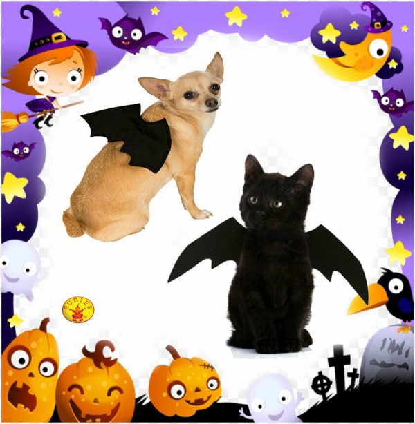 Animal Pet Dog Cat Black Bat Vampire Halloween Fancy Dress Costume Wings Rubies