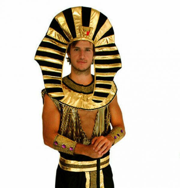 Mens Egyptian King Pharaoh Costume Historical Fancy Dress Tutankhamun Adult Std - Image 4