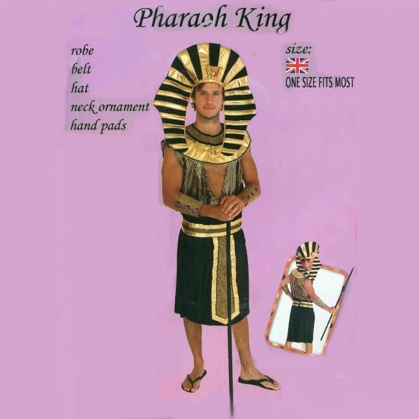 Mens Egyptian King Pharaoh Costume Historical Fancy Dress Tutankhamun Adult Std - Image 6