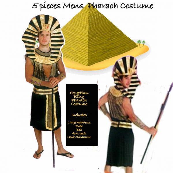 Mens Egyptian King Pharaoh Costume Historical Fancy Dress Tutankhamun Adult Std