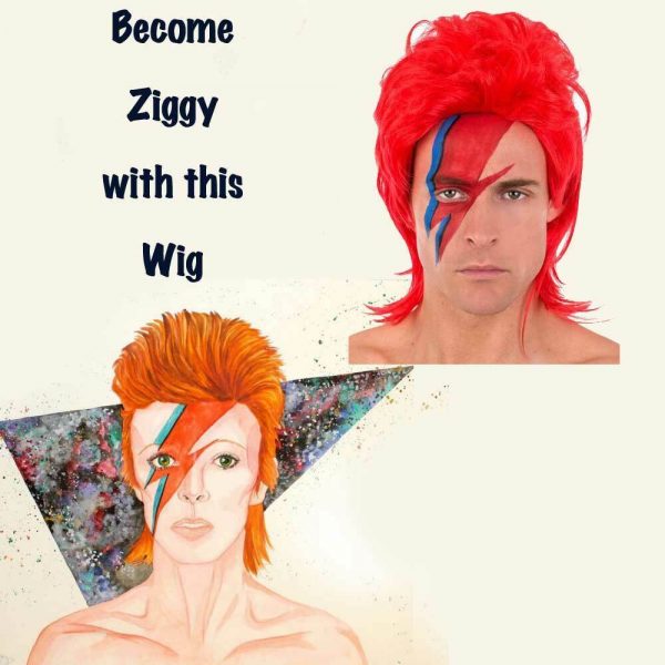 Red Mullet Wig Ziggy Stardust David Bowie 70s 80s Musician Costume Pop Rock Star - Image 3