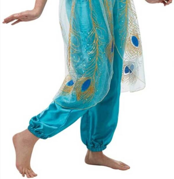 Official Disney Live Action Aladdin Movie Jasmine Adult Costume, Ladies Small 8-10 - Image 4