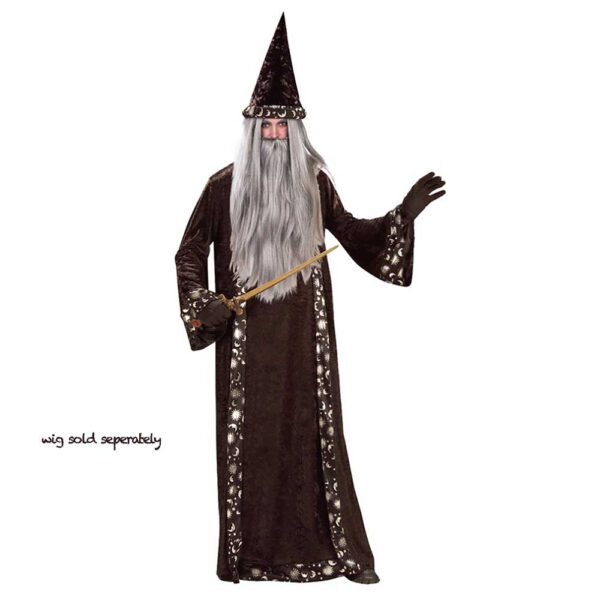 Wizard / Sorcerer Costume Robe & Hat - Adult - M/L/XL