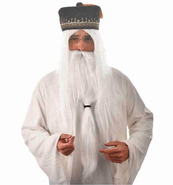 Wizard Long White Wig with Beard - Adult